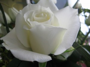 For Dad